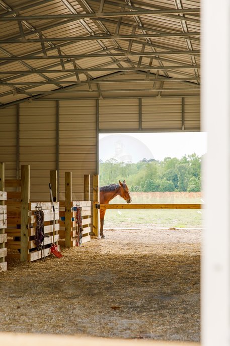 Metal horse barn